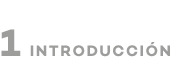 INTRODUCCIÓN